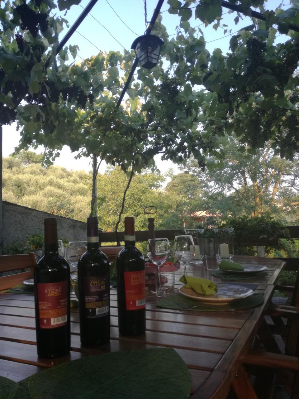 Cason Degli Ulivi Διαμέρισμα Rivoli Veronese Εξωτερικό φωτογραφία